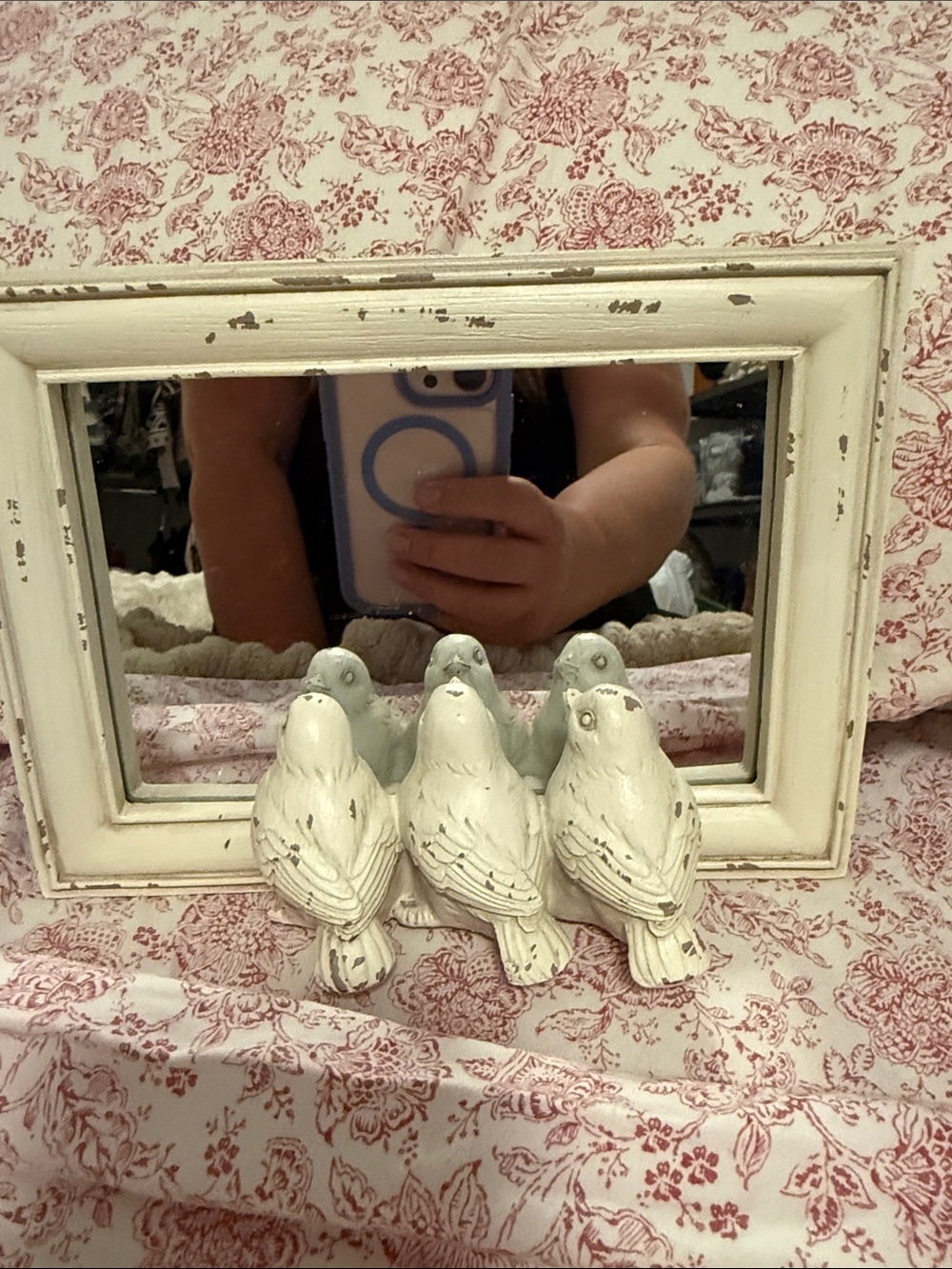 Pier 1 White Distressed Mirror with Three Ceramic Birds